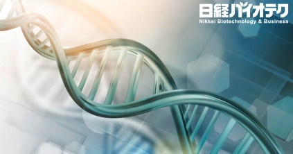 加速する核酸医薬の研究開発   ― 創薬の実際 ―